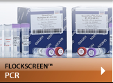flockscreen pcr
